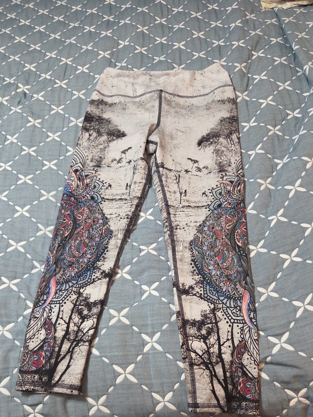 Evolution And Creation Leggings